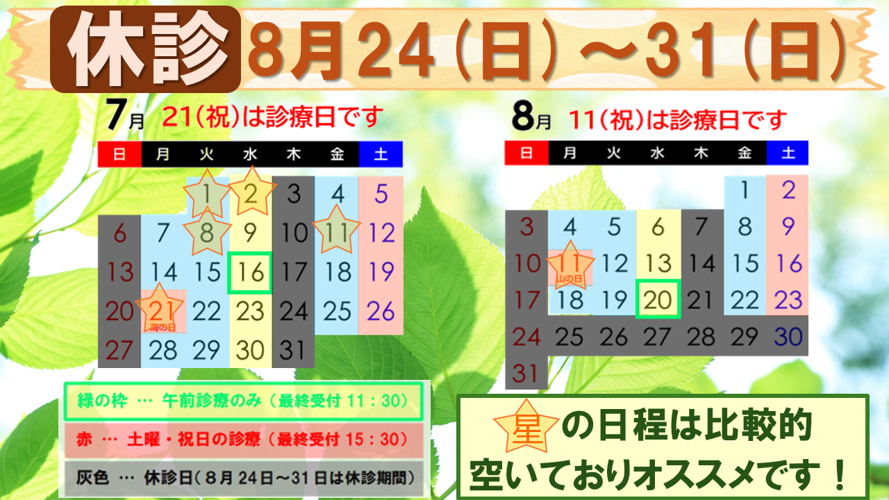 スケジュール